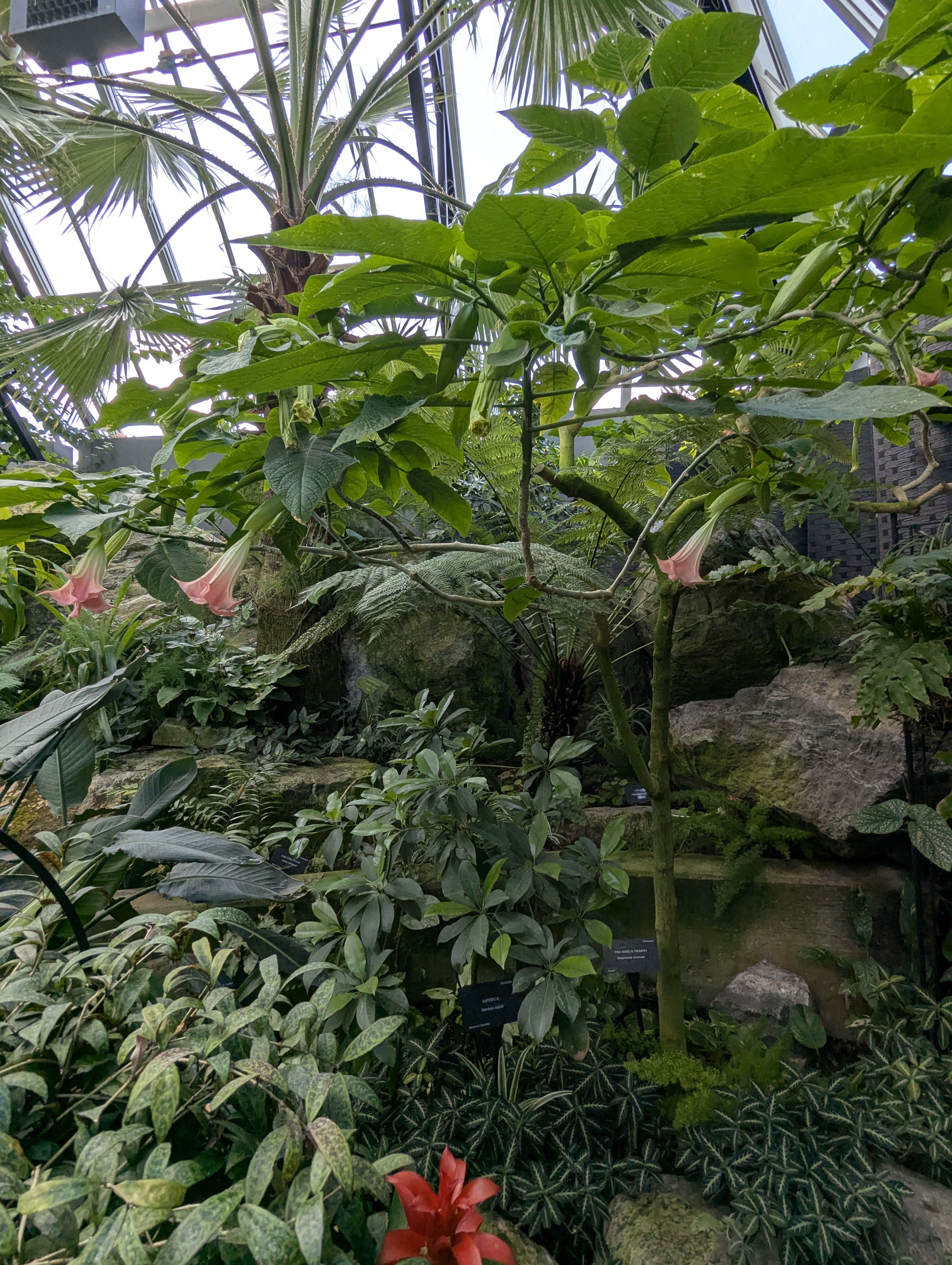 Birthday Trip to Canada, Edmonton, Pyramids, Muttart Observatory